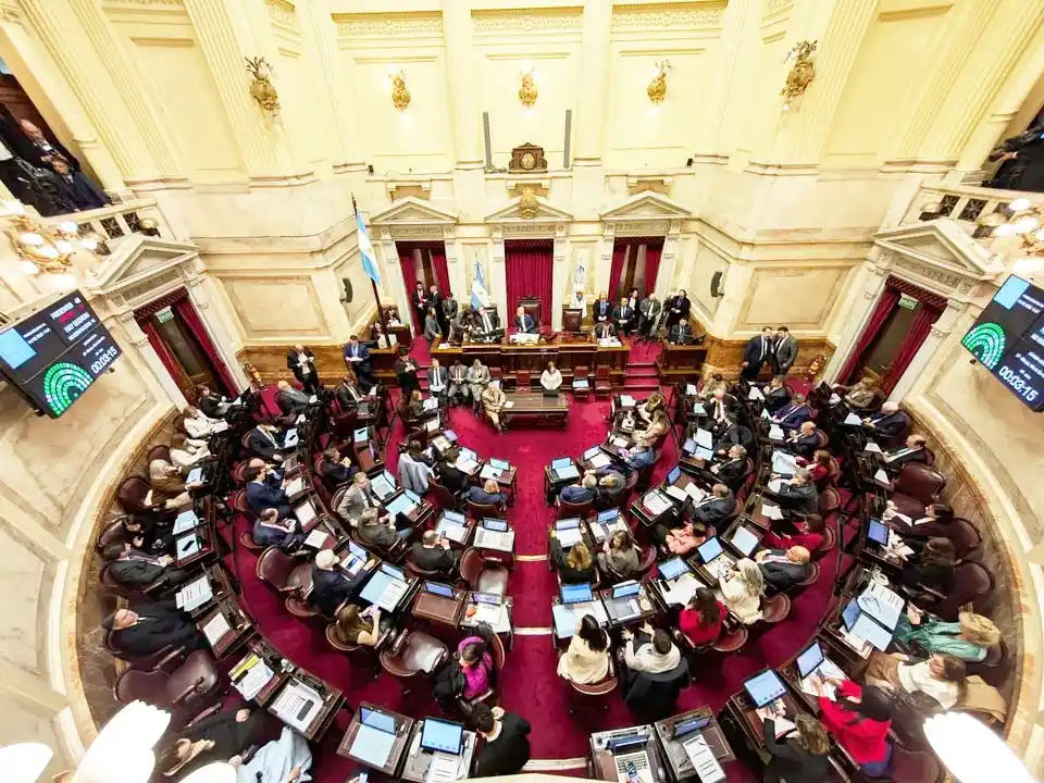 El Senado dejó firme la Emergencia en Discapacidad
