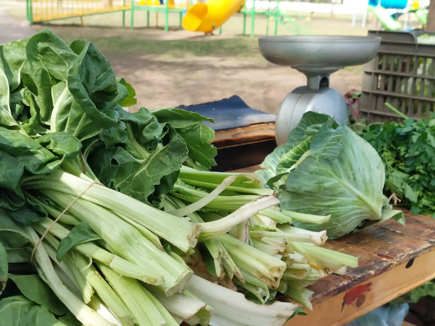 Verduras de huertas venadenses se comercializan todos los miércoles.