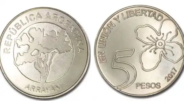 Piden que posterguen por 6 meses el retiro de los billetes de 5 pesos