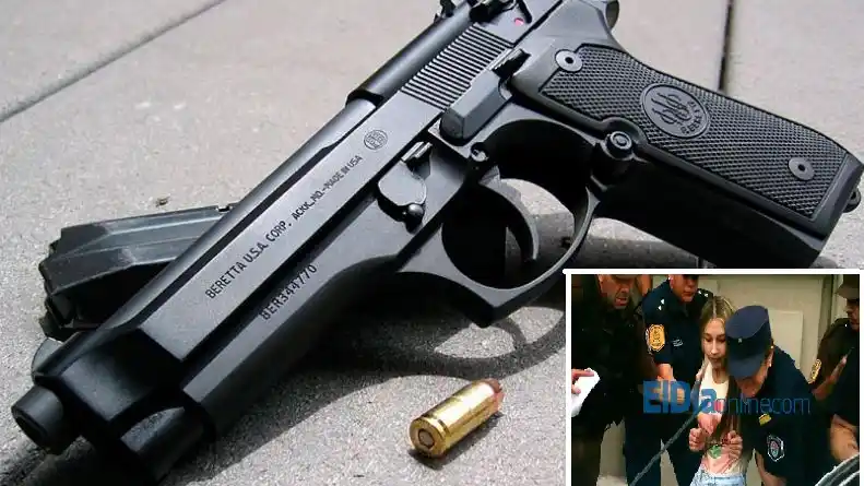 Caso Pastorizzo: El arma, arriba de la heladera