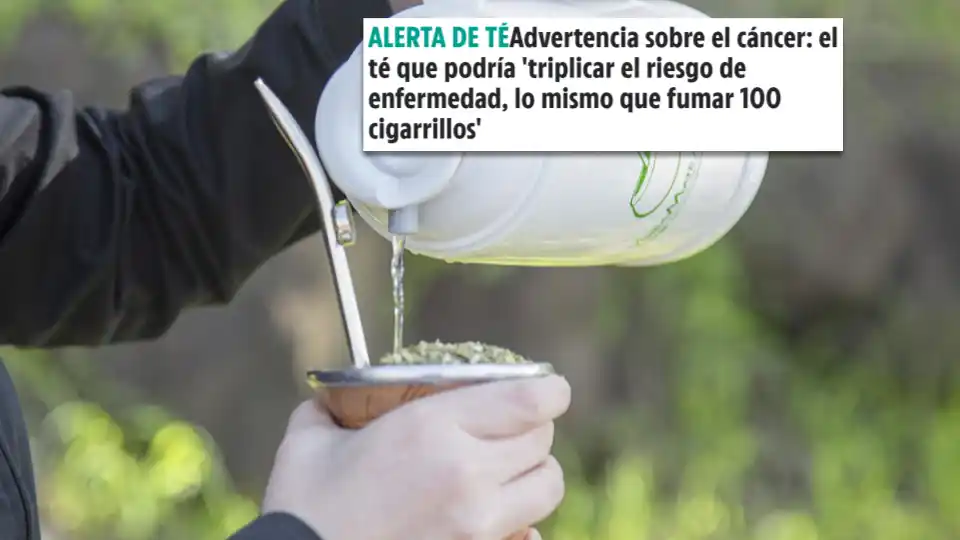Tras difusión de un artículo inglés: Agencia Internacional del Cáncer declaró que el mate no es cancerígeno