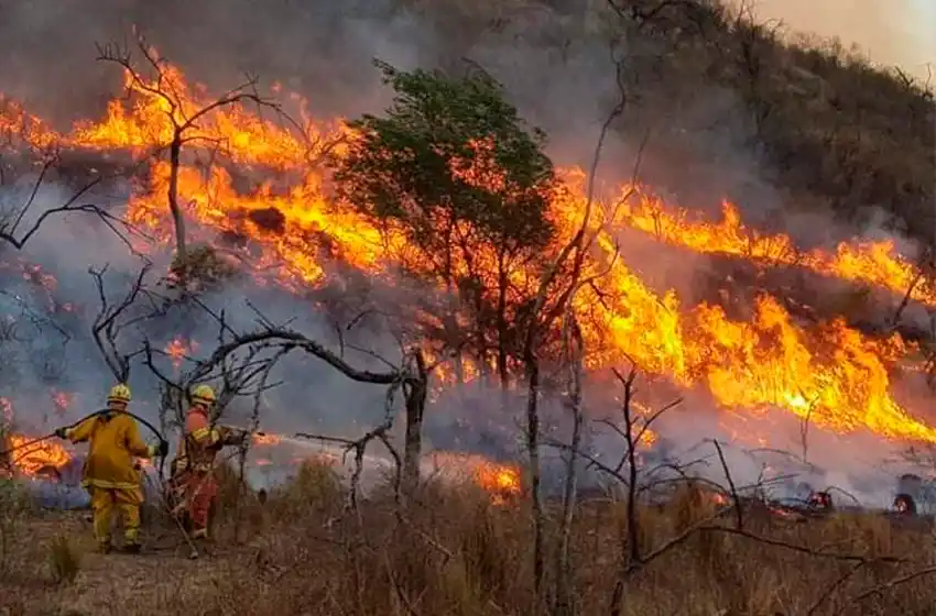 Bolsonaro envió dotaciones de bomberos a Corrientes para combatir el fuego