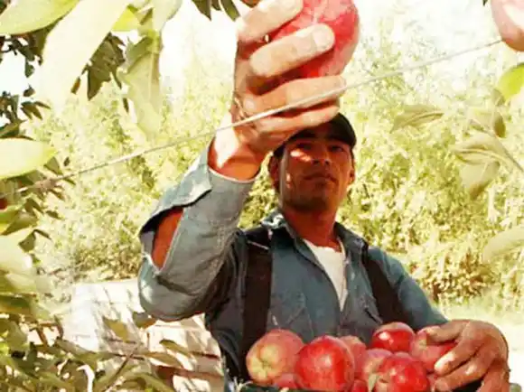 Hasta el 23 de octubre pueden  inscribirse al Intercosecha 2022