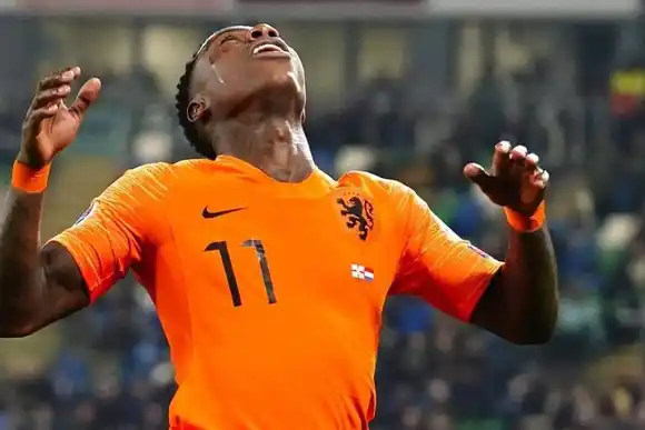 Procesan a un jugador neerlandés por importar 1300 kilos de cocaína