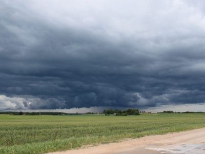 Fuertes lluvias complican la recolección de soja en la región núcleo
