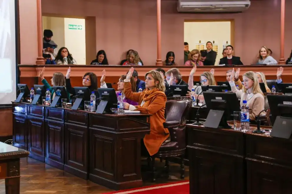 Diputados justicialistas solicitaron a Hein que convoque a los gremios para debatir la reforma jubilatoria