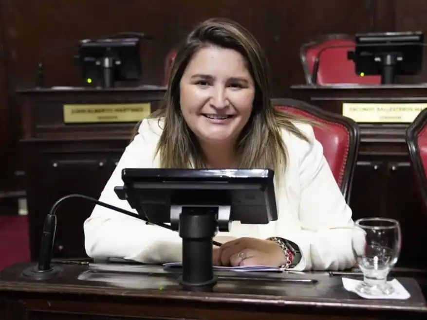 Senadora Ayelén Durán.