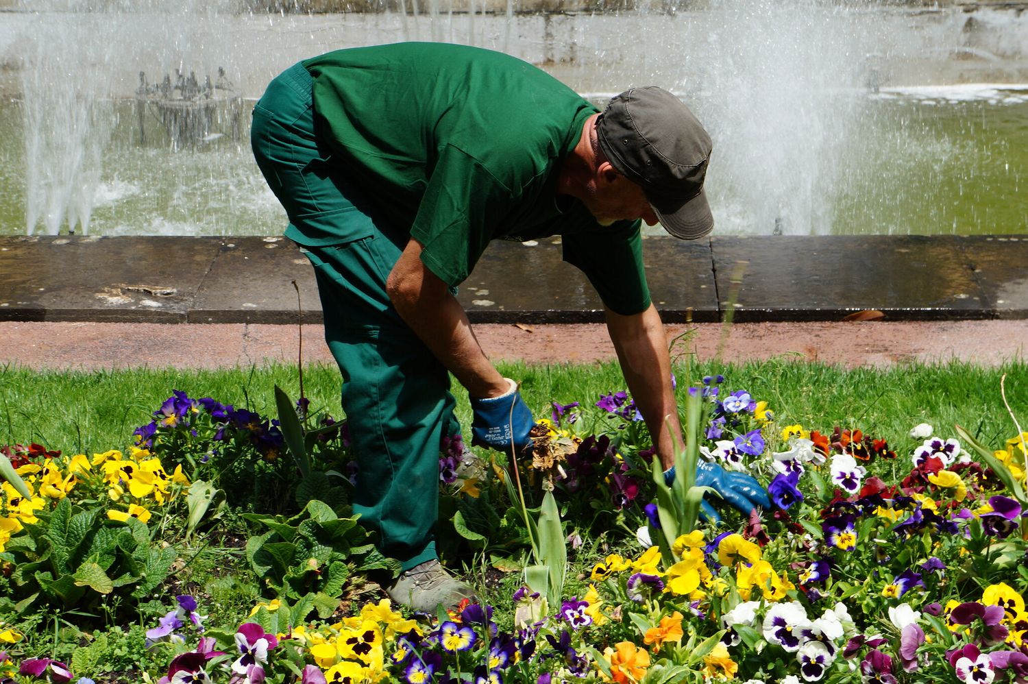 La jardinería gran ayuda a nuestra salud