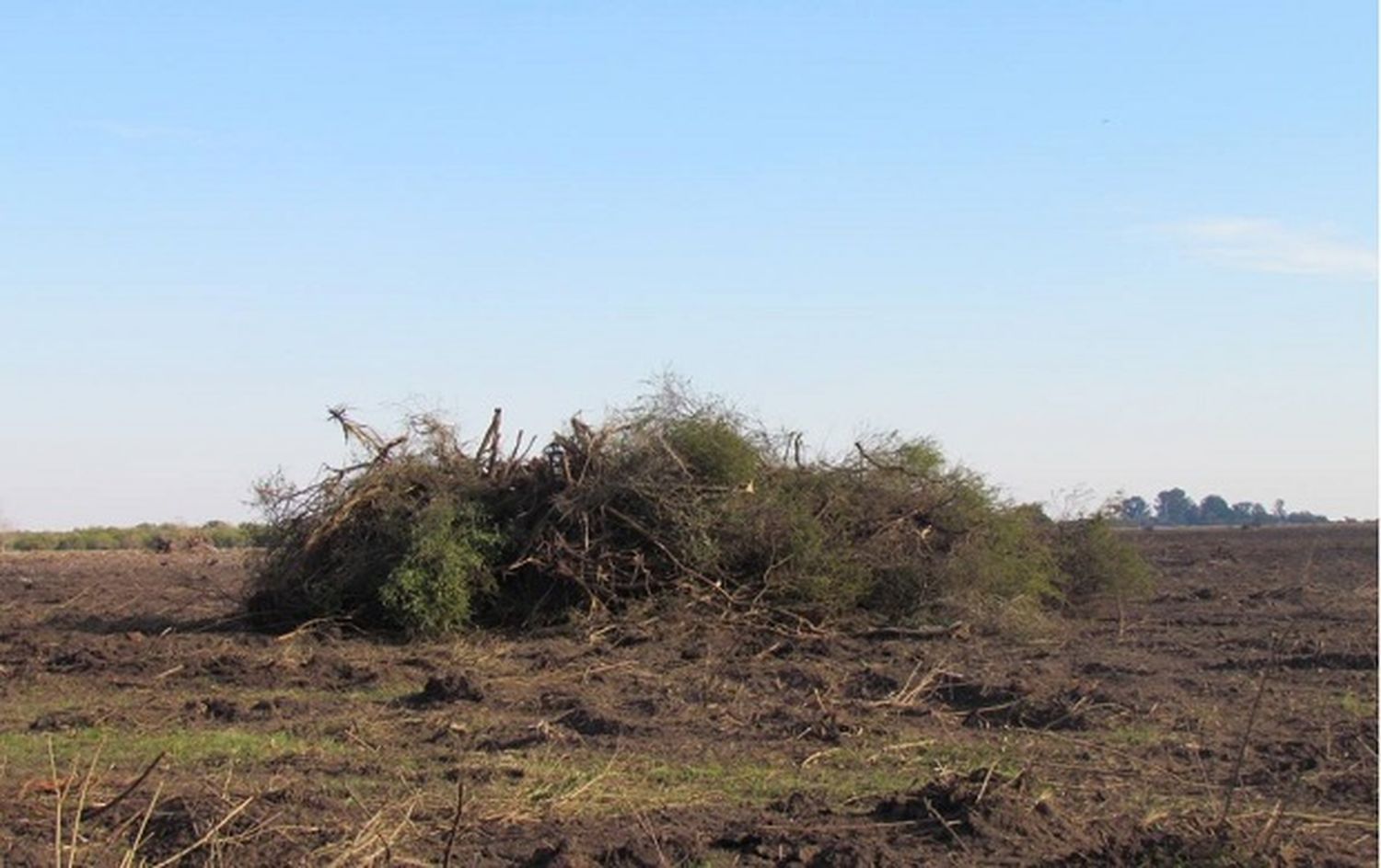 Desmontes: Recursos Naturales dijo que se atienden “todas las denuncias”
