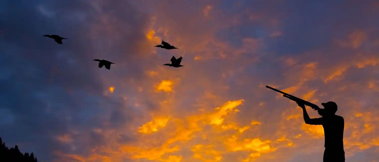 “Hay más de diez cotos de caza ilegales”