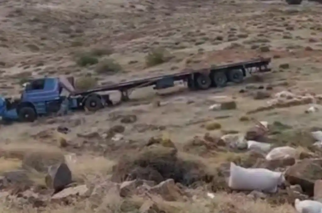 En camión sin frenos desbarrancó en Neuquén y el chofer resultó ileso (Foto: gentileza Diario Río Negro).