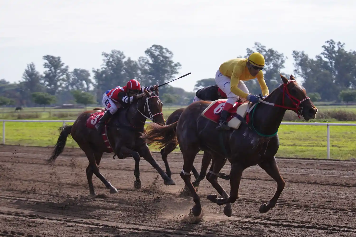 El Flaco fue el  ganador de la edición 2022