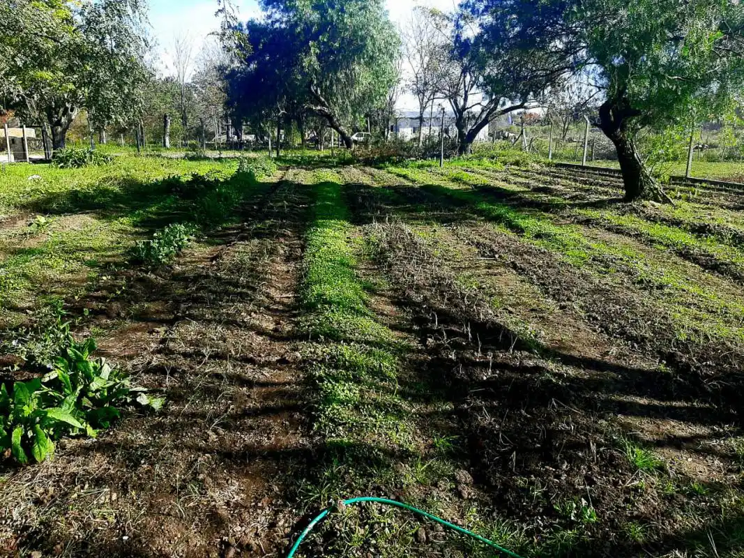 Continúan las Huertas Agroecológicas