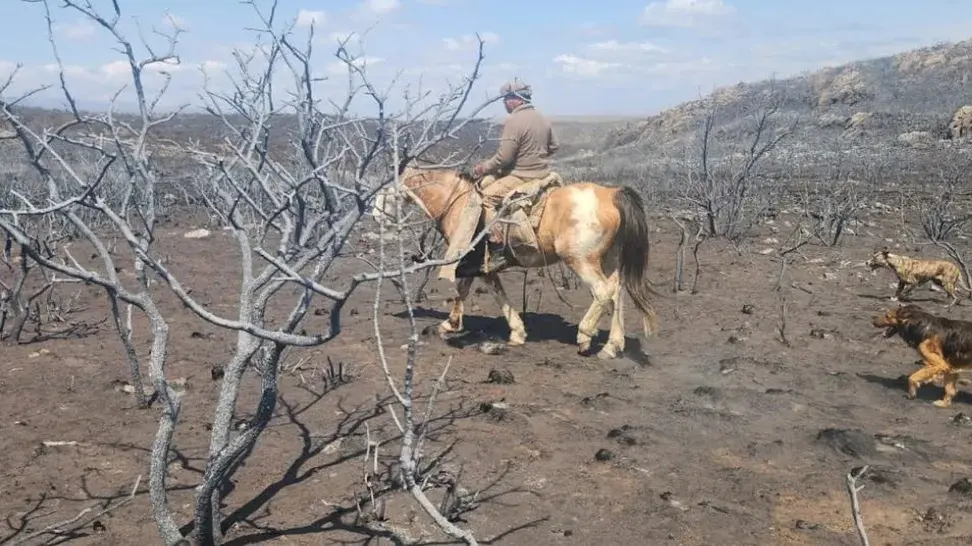 El drama de los incendios en las sierras de Córdoba en primera persona