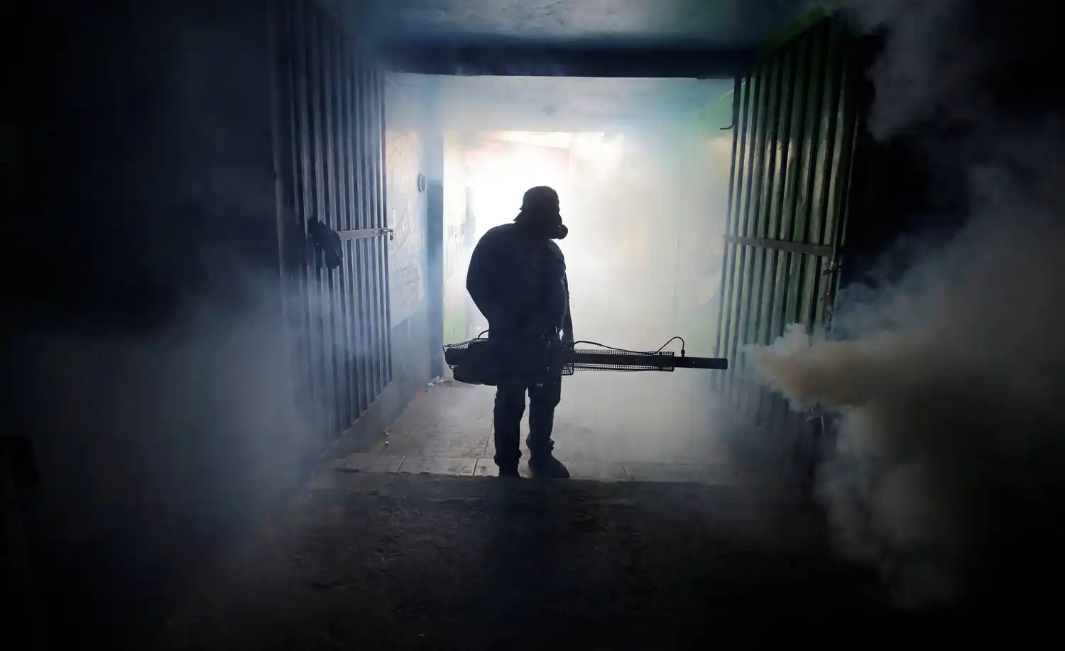 Un brote de dengue pone en alerta a Centroamérica