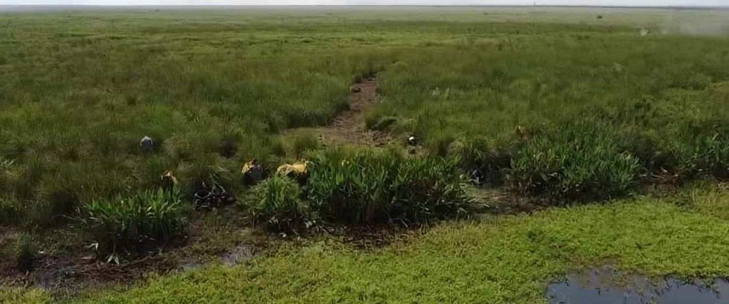 Brigadistas de Entre Ríos y Buenos Aires continúan trabajando para sofocar incendios al sur de las islas del Delta