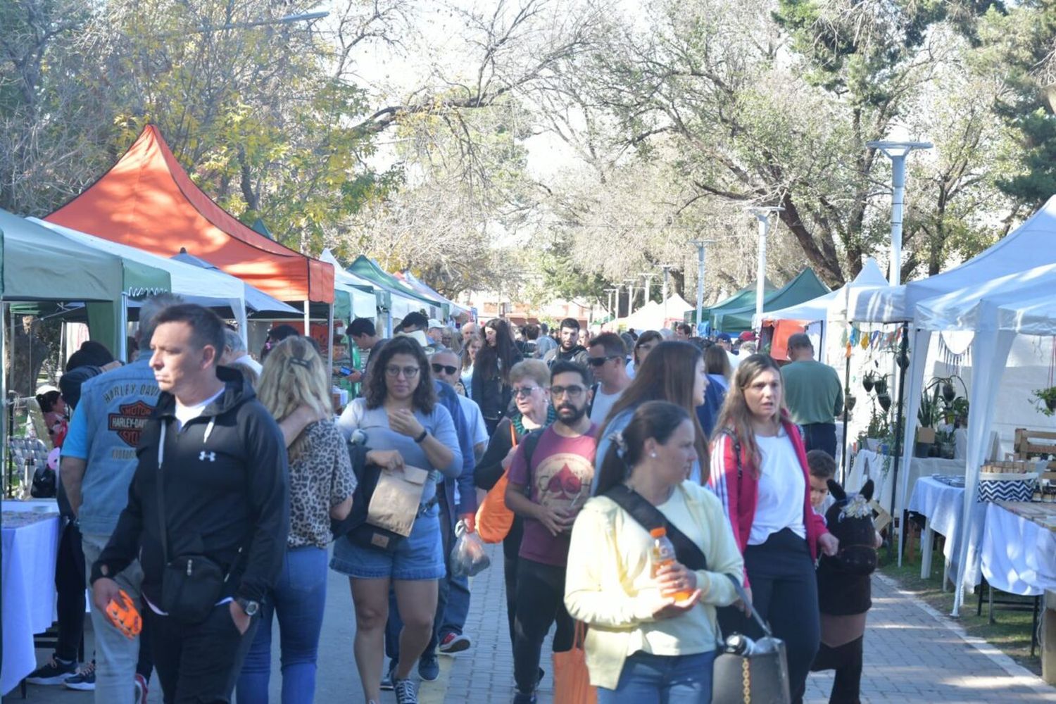 Una multitud se acercó al parque municipal para disfrutar de un nuevo “Paseo de la Ciudad”