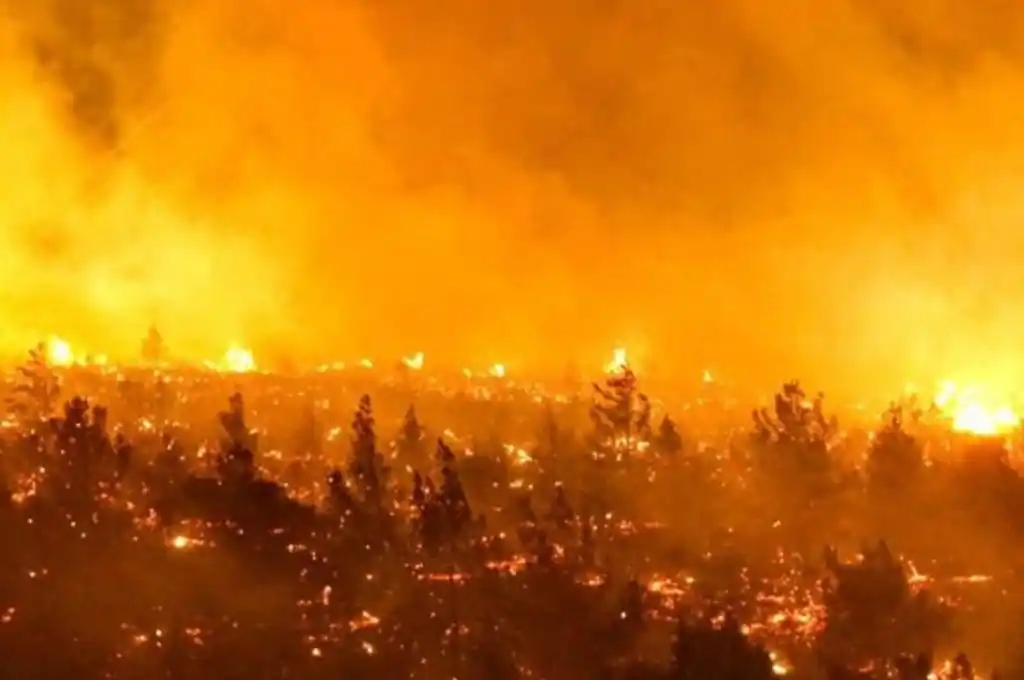 Al menos 24 fallecidos y casi 1.000 heridos, por los incendios forestales en Chile