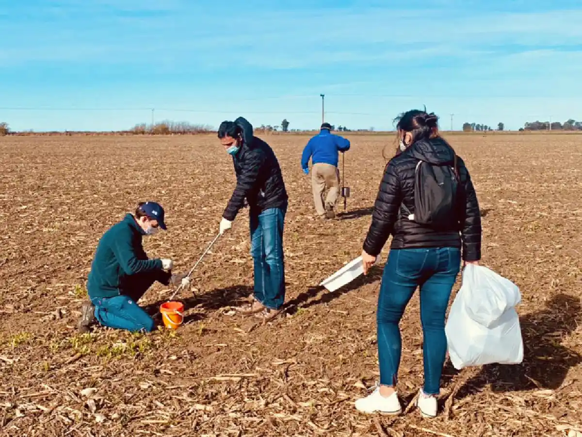 Impulsan el uso de residuos pecuarios como biofertilizantes  para campos productivos