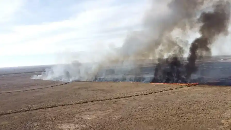 incendios islas intervención entre ríos