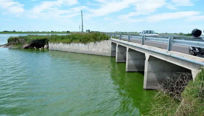 Junín: Gobierno bonaerense alertó por cianobacterias en Laguna de Gómez
