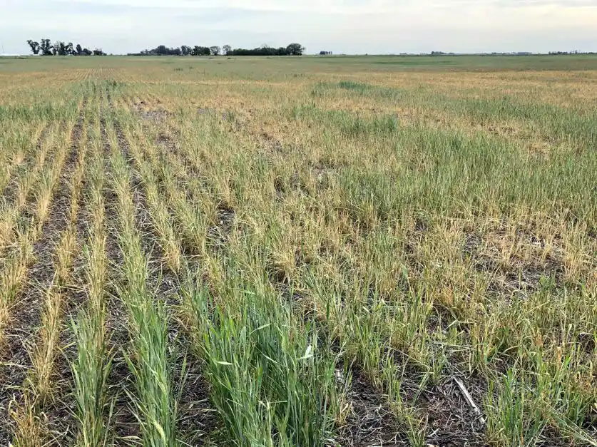 El fenómeno climático de La Niña vuelve a impactar en el distrito