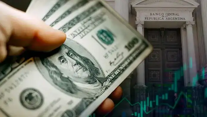 El Banco Central compró 532 millones de dólares, la mayor cifra en la era Milei