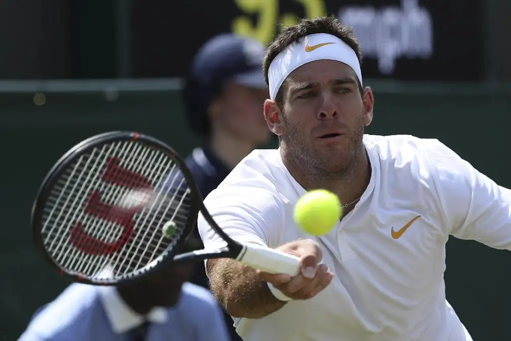 Del Potro busca meterse en los cuartos de final