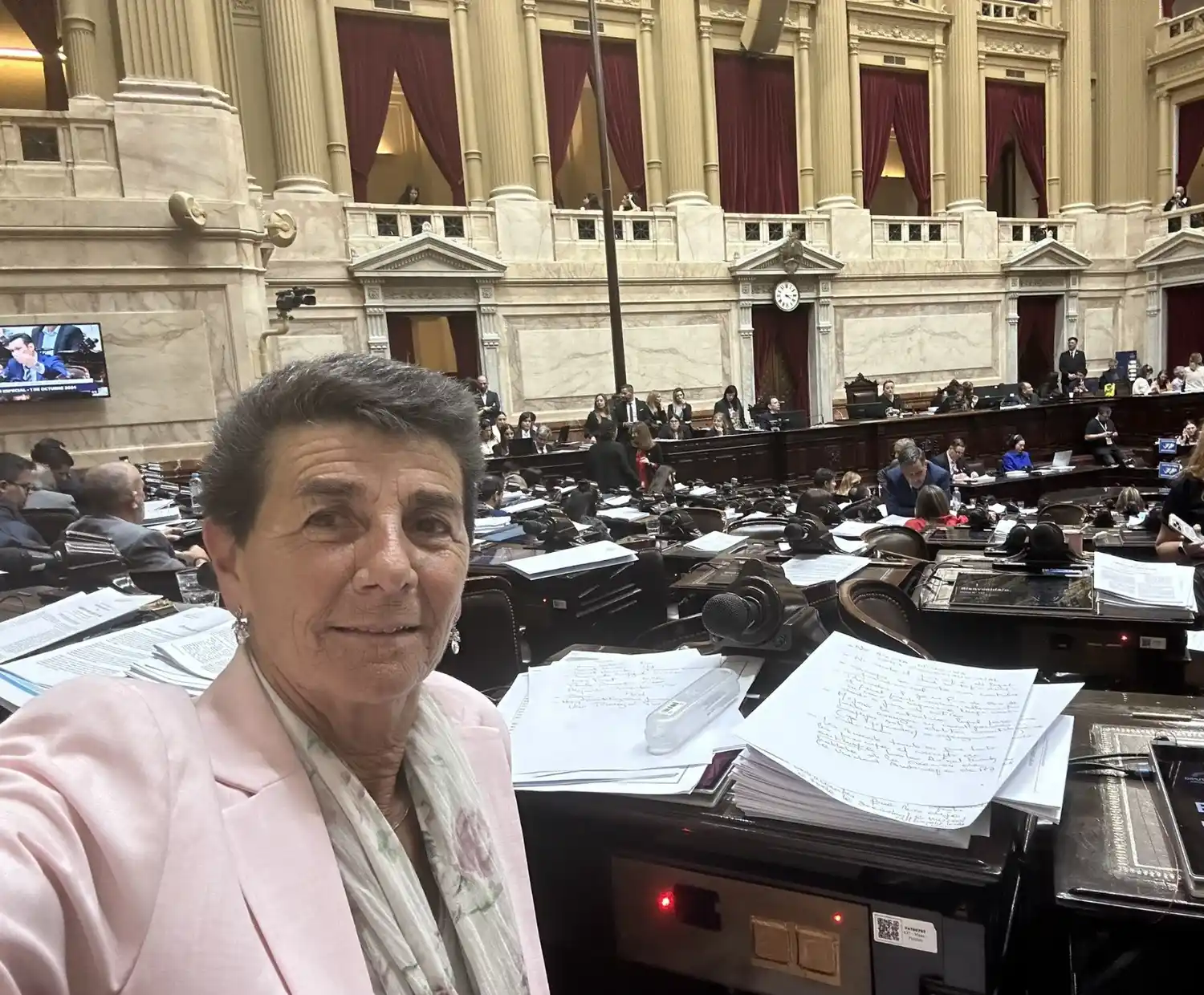 La legisladora cuestiona las foto multas