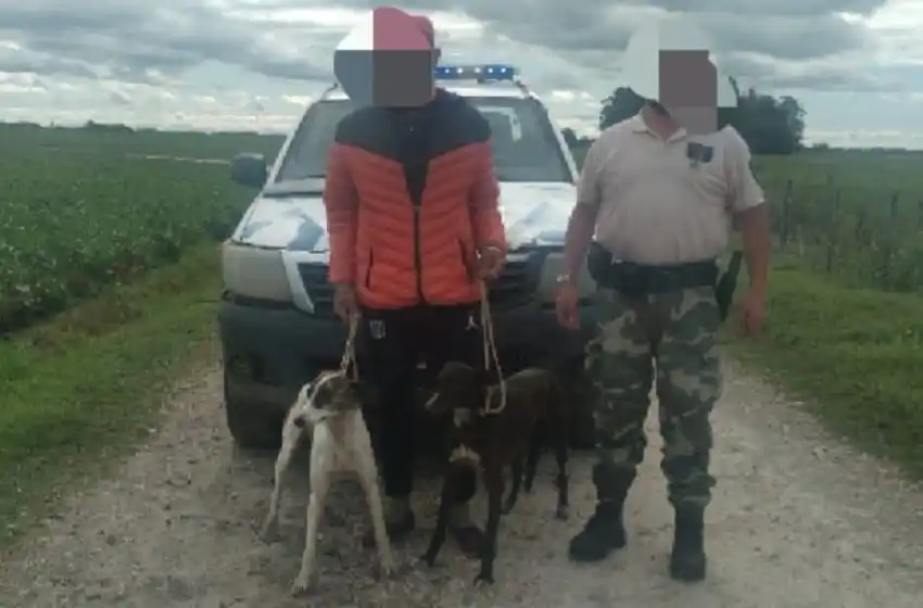 Caza Furtiva con perros galgos en el camino viejo a Miramar