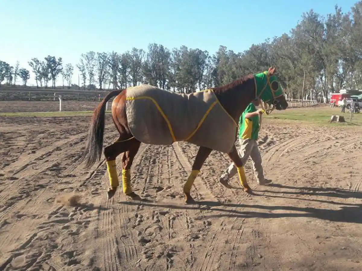 Se viene “El Día del Vértigo”