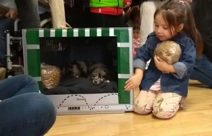 Proyecto de tenencia responsable de mascotas