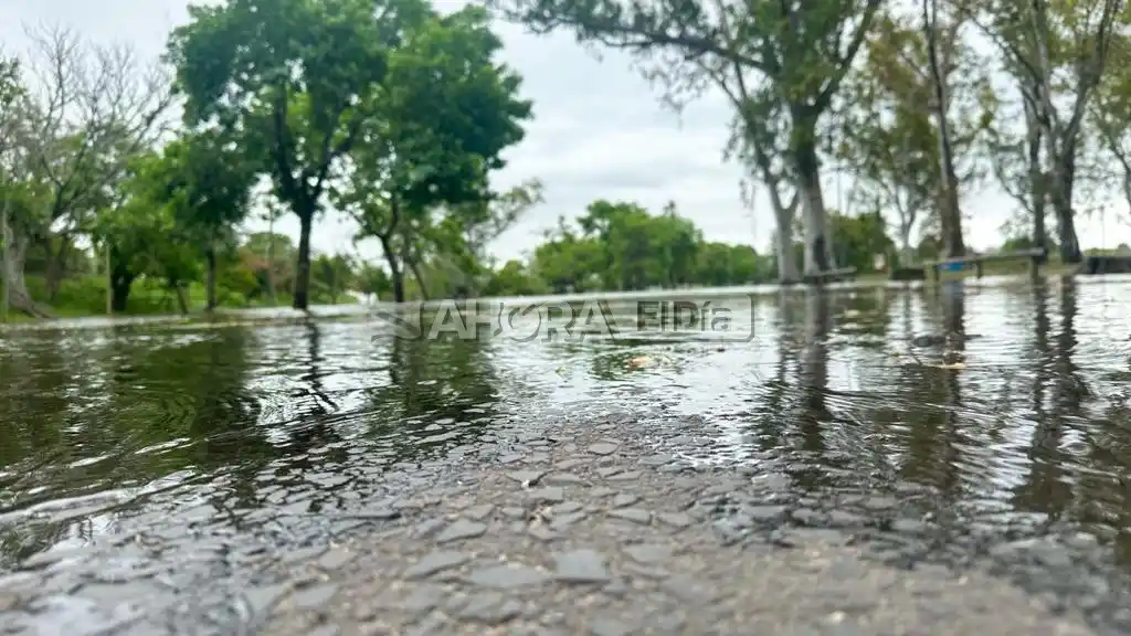 Foto: Mauricio Ríos