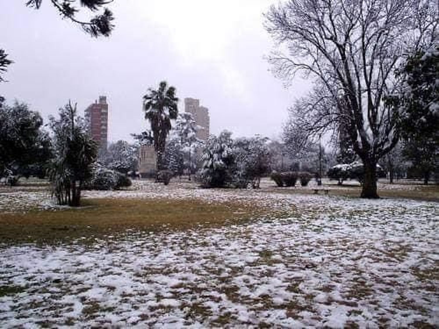 A 17 años de la última nevada en Venado Tuerto.