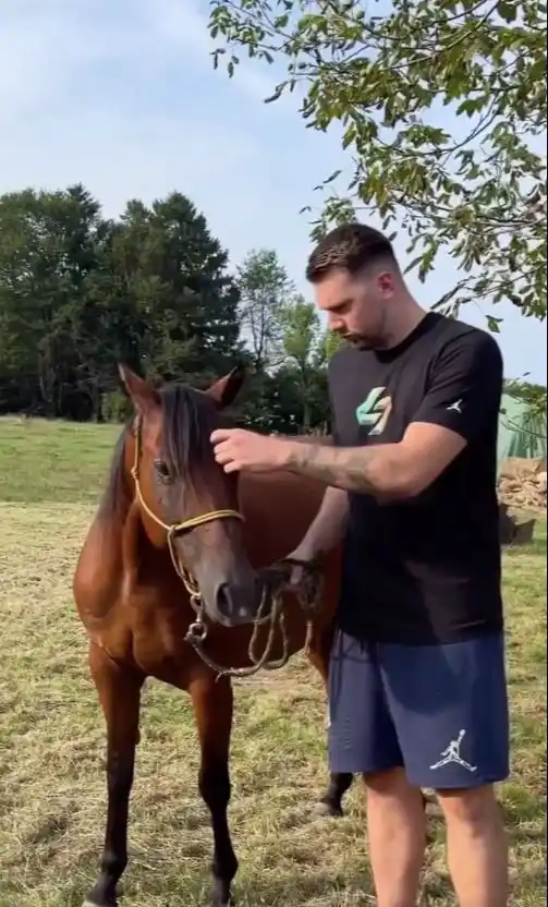 Luka Doncic y un caballo que parece mínimo al lado suyo; el de la NBA descansa en su país (Vía: X).