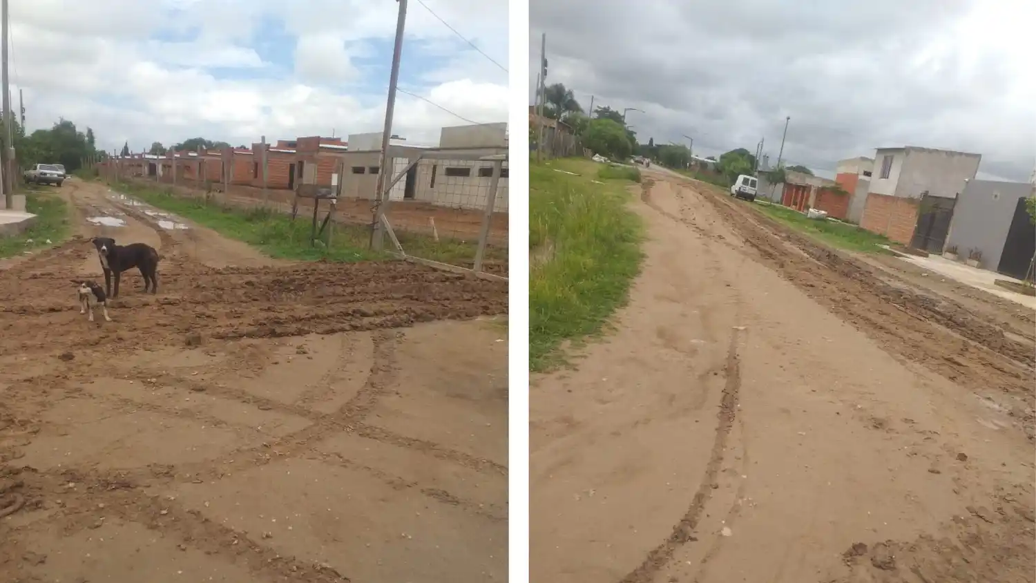 “No somos chanchos para que rompan las calles”