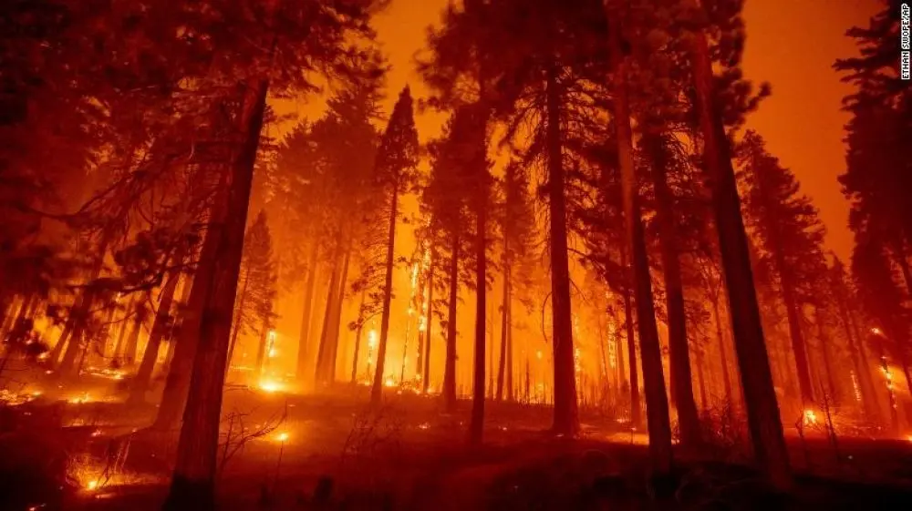 Incendios en Corrientes: Todos los recursos que el gobierno bonaerense destinó para contener el desastre