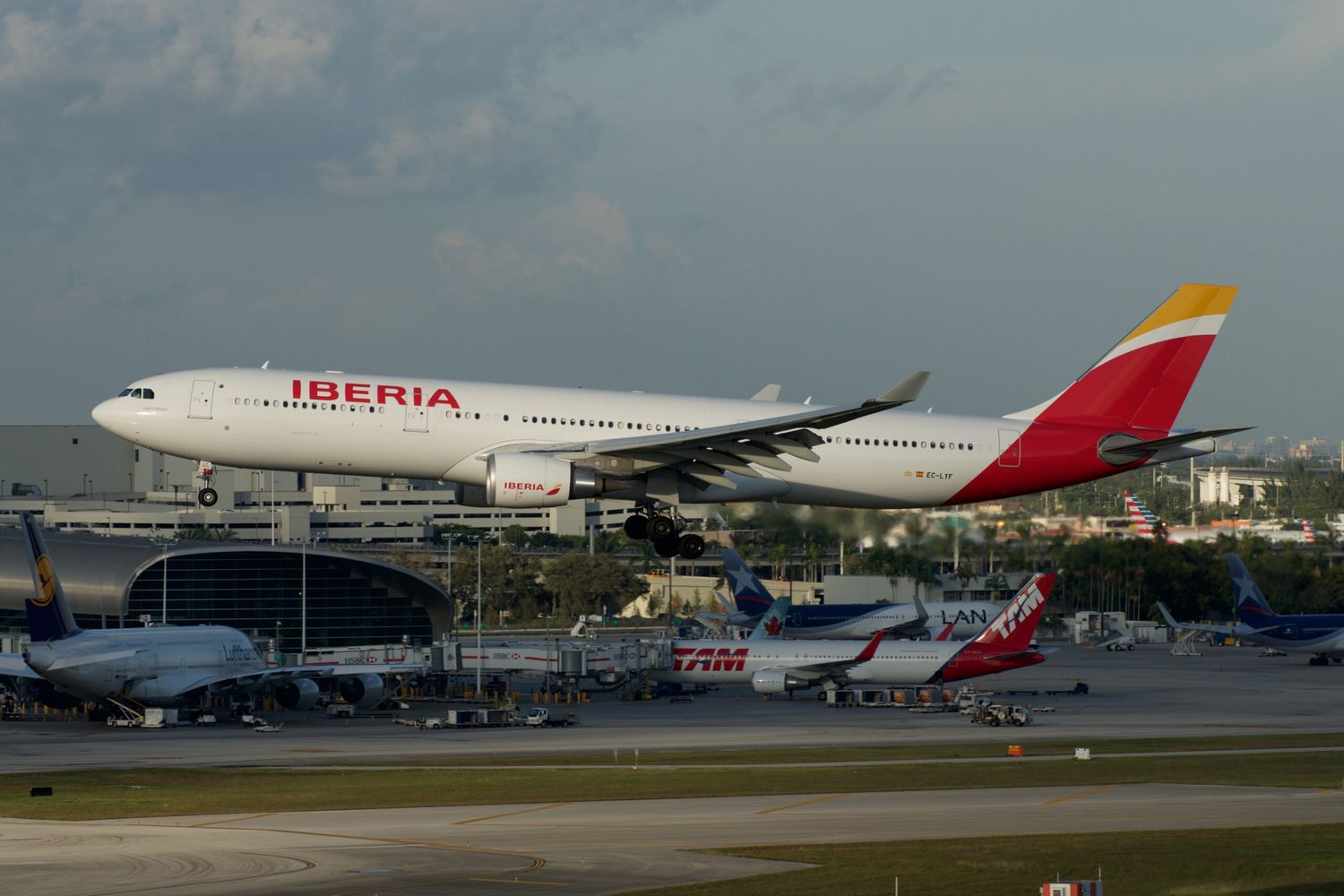 Iberia aumenta sus vuelos entre Madrid y Miami