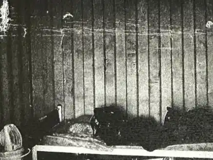 Confirmaron la condena a 8 años de prisión a un empresario por trata laboral