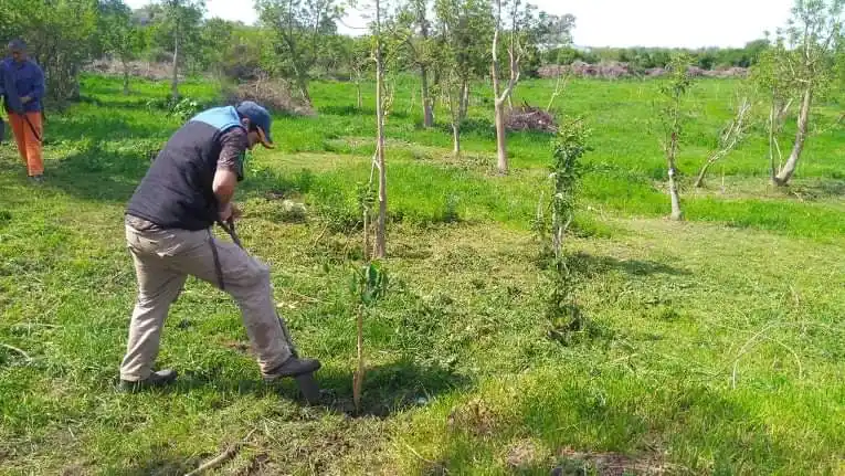 Opiniones encontradas por acciones en el Monte de los Ombúes