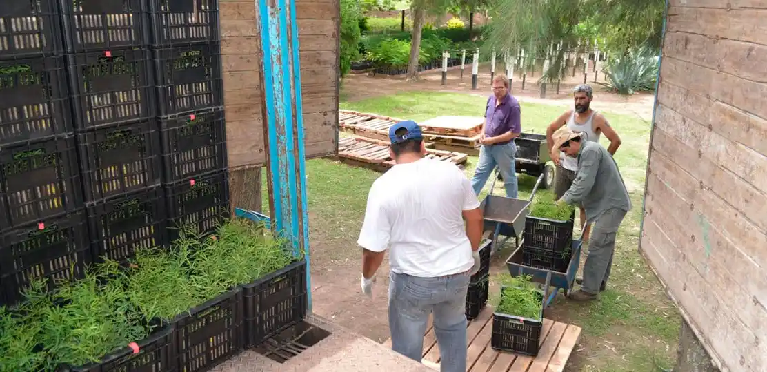 Chaco donará un millón de algarrobos para la reforestación de San Luis 