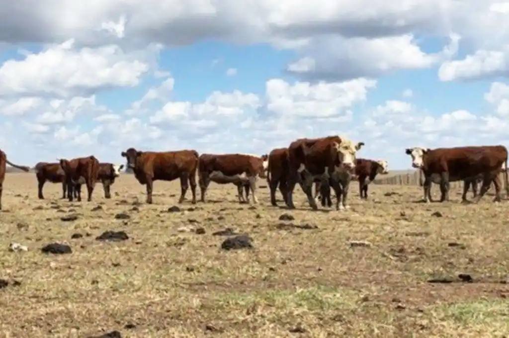 En la provincia de Santa Fe ya es oficial la emergencia agropecuaria