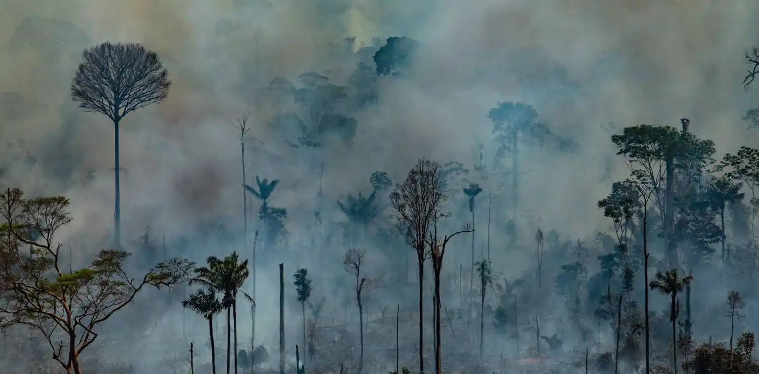 Se incendia el Mercosur