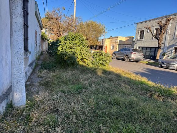 Tour de veredas: la esquina de Chivilcoy y Rafael Obligado es ''una jungla''