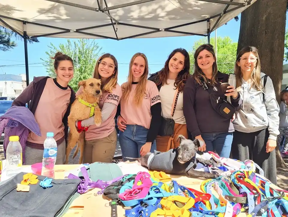 “Orejas Verdes” pasó por los barrios Iturbide y Juan XXIII con vacunación y castraciones 