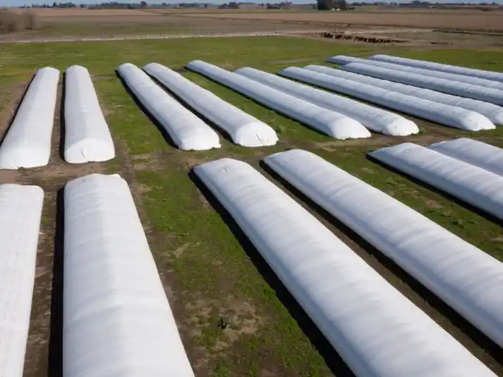 El 40 por ciento de la producción nacional se conserva en silobolsas