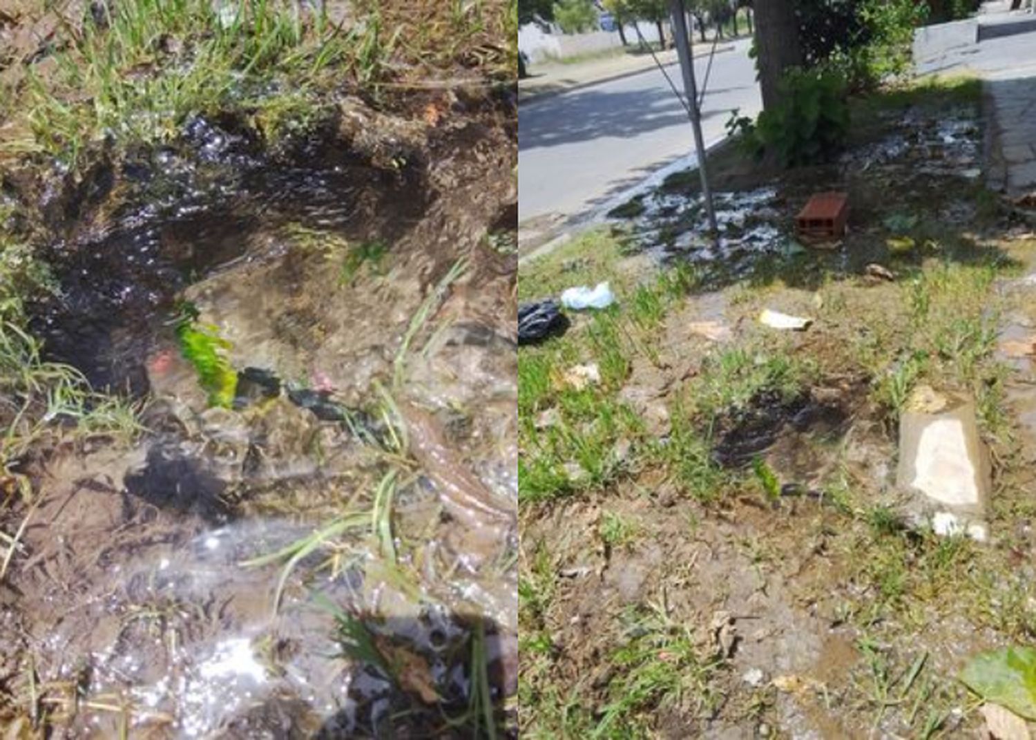 “Es un desperdicio de agua, dicen que esperemos”