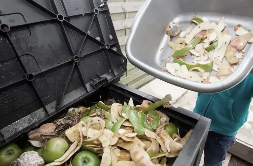 Según la ONU, cada año se desperdician un 20% de los alimentos en el mundo