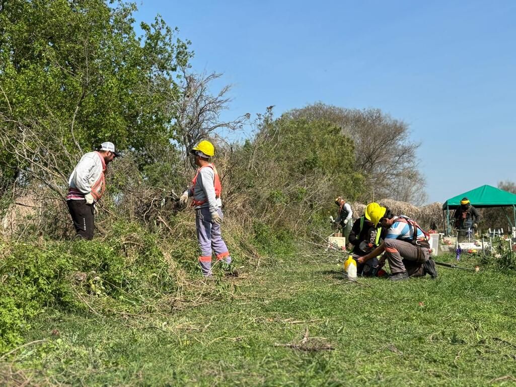 Se llevaron adelante tareas de poda y acondicionamiento en el sector de Carentes