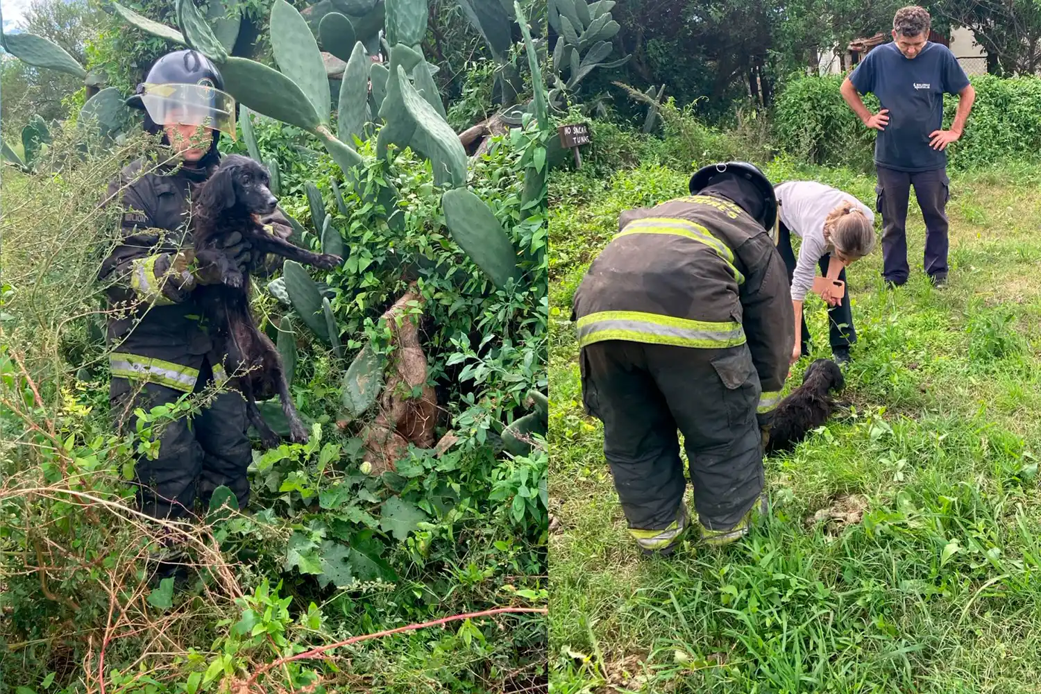 Bomberos Zapadores rescataron a un perrito que se cayó a una excavación